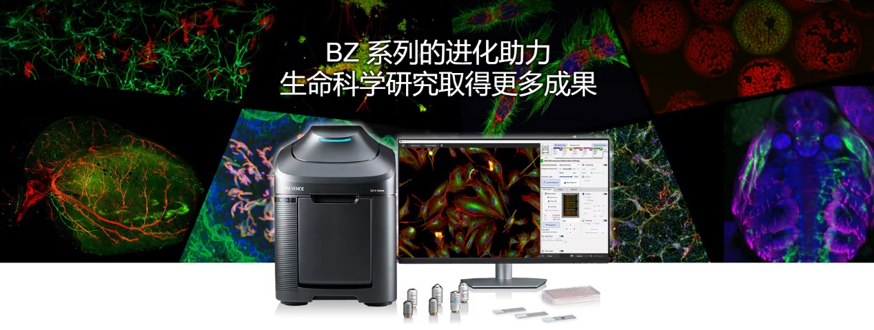 8月4第三张图片.png